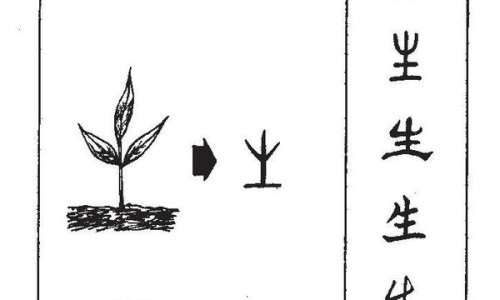 扶正养阴丸作用与功效禁忌、扶正养阴丸作用与功效及副作用 -扶正养阴丸作用与功效网